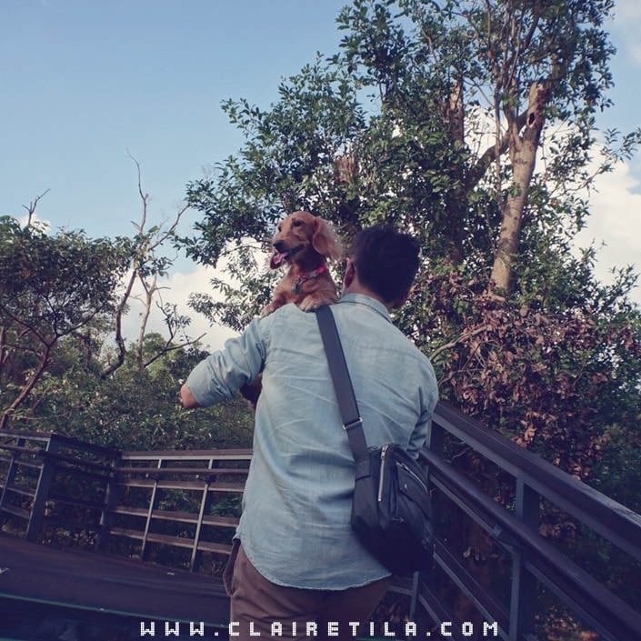 20251024-q21s1 20251024-q21s1