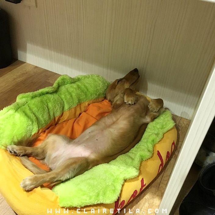 20251024-q7hs0 20251024-q7hs0