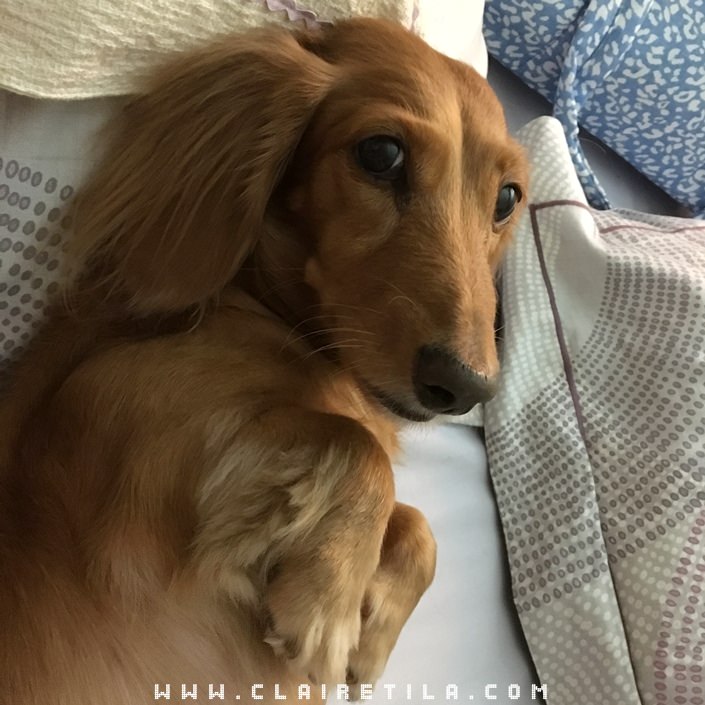 20251024-q8mng 20251024-q8mng