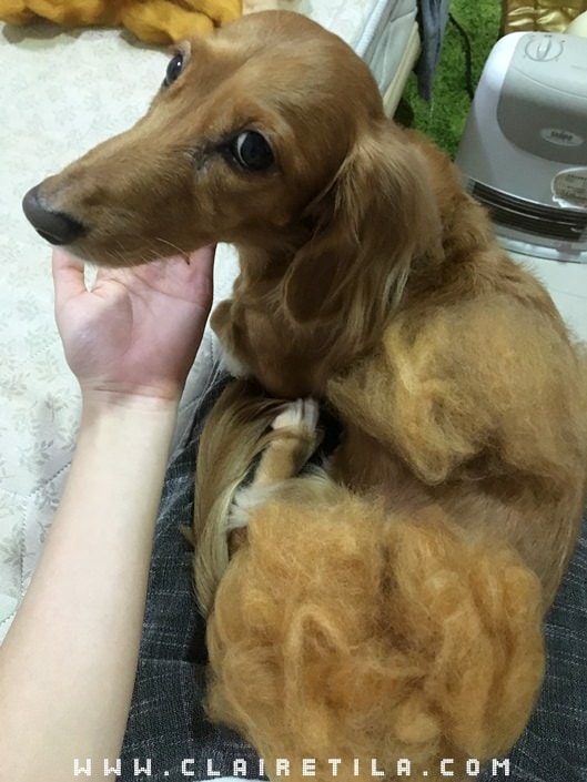 20251024-qh4xw 20251024-qh4xw