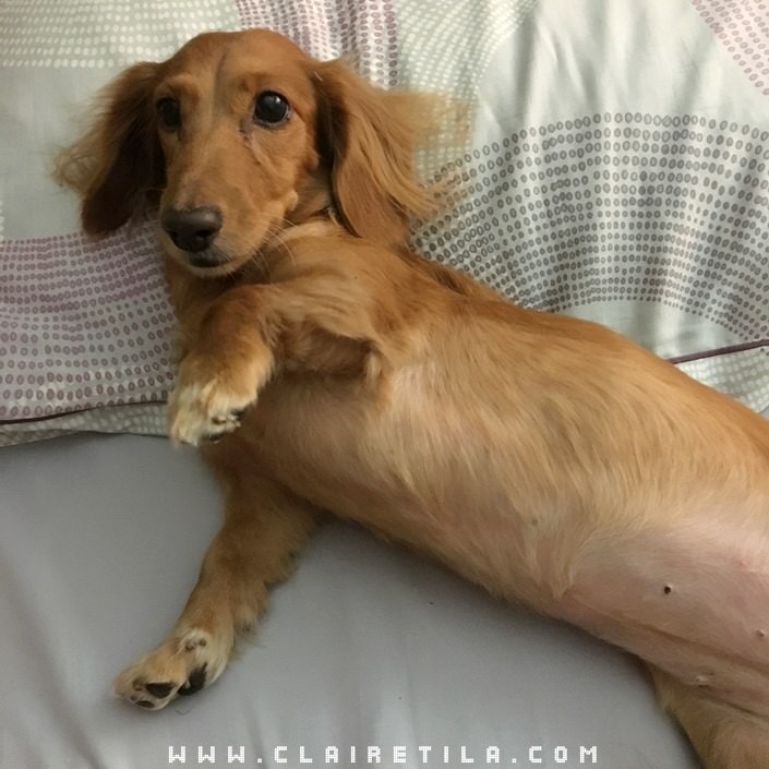 20251024-qqysd 20251024-qqysd