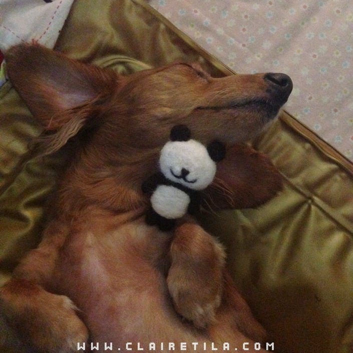 20251024-r8xh0 20251024-r8xh0