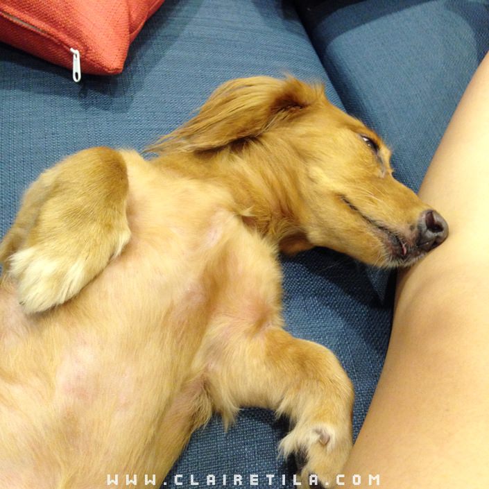 20251024-r9pmt 20251024-r9pmt