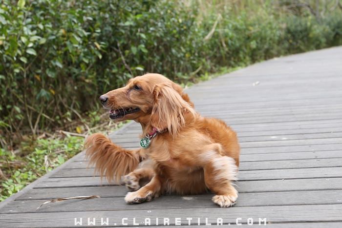 20251024-rsl3i 20251024-rsl3i