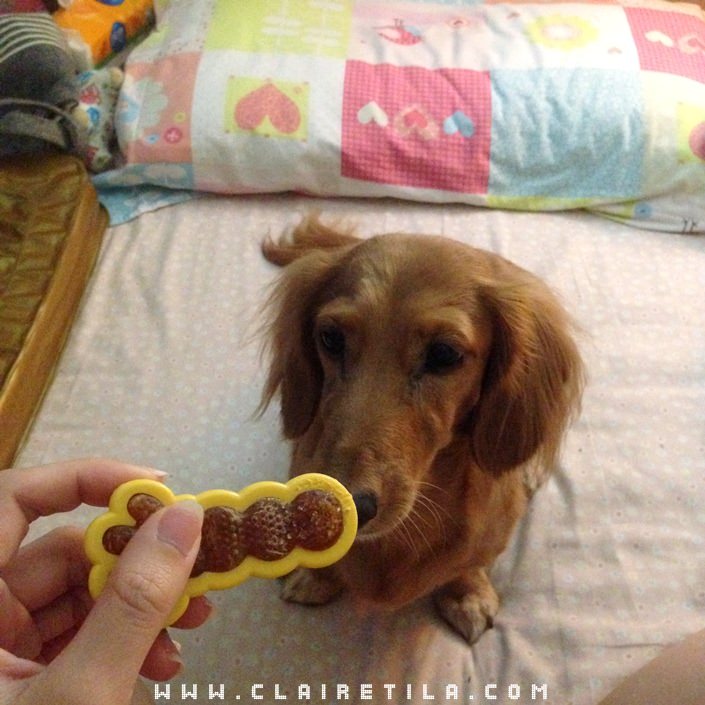 20251024-s32uj 20251024-s32uj