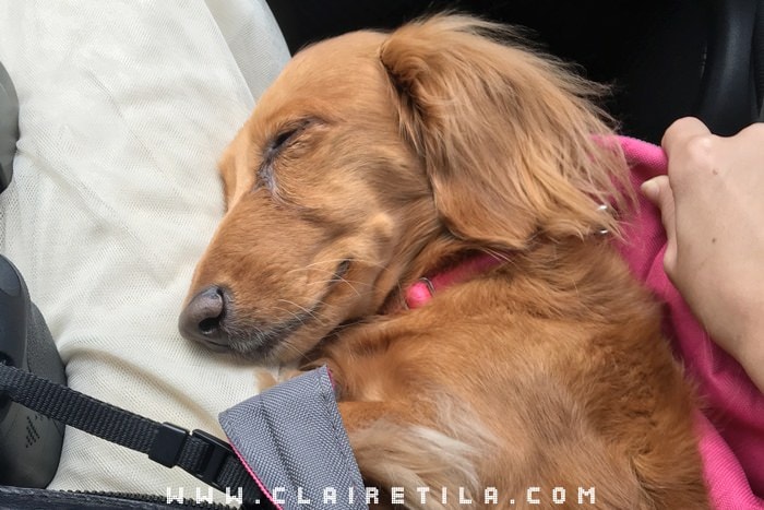 20251024-s6aq2 20251024-s6aq2