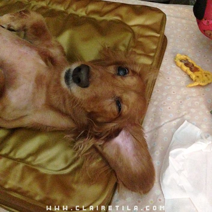 20251024-sluqk 20251024-sluqk