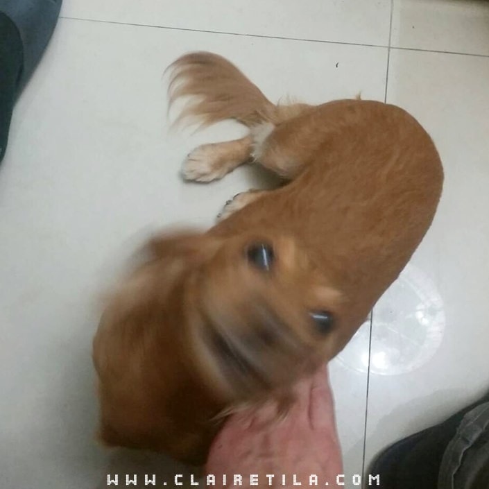 20251024-smx2u 20251024-smx2u