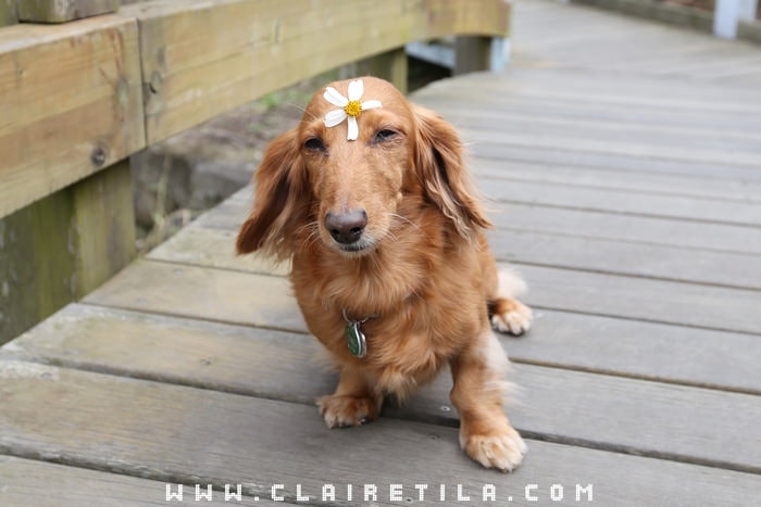 20251024-t2ffx 20251024-t2ffx