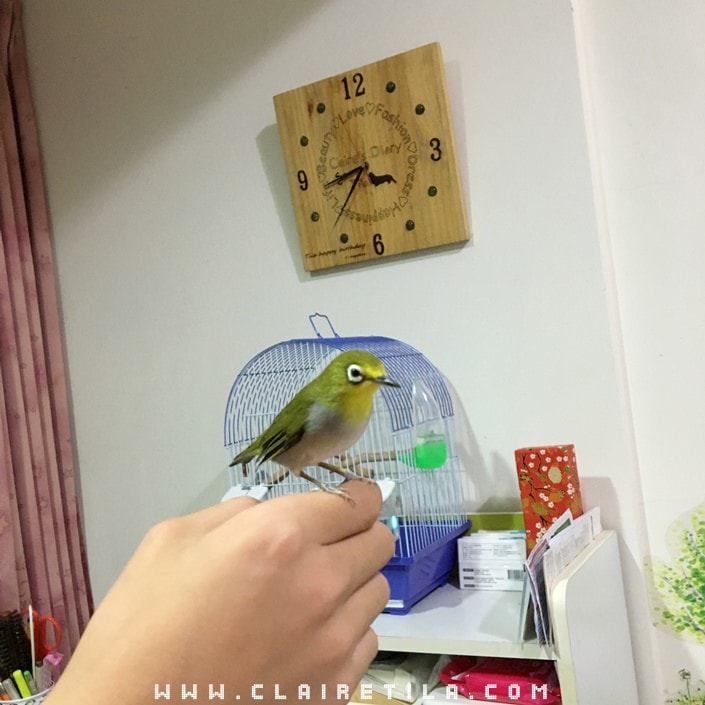 20251024-t63aw 20251024-t63aw