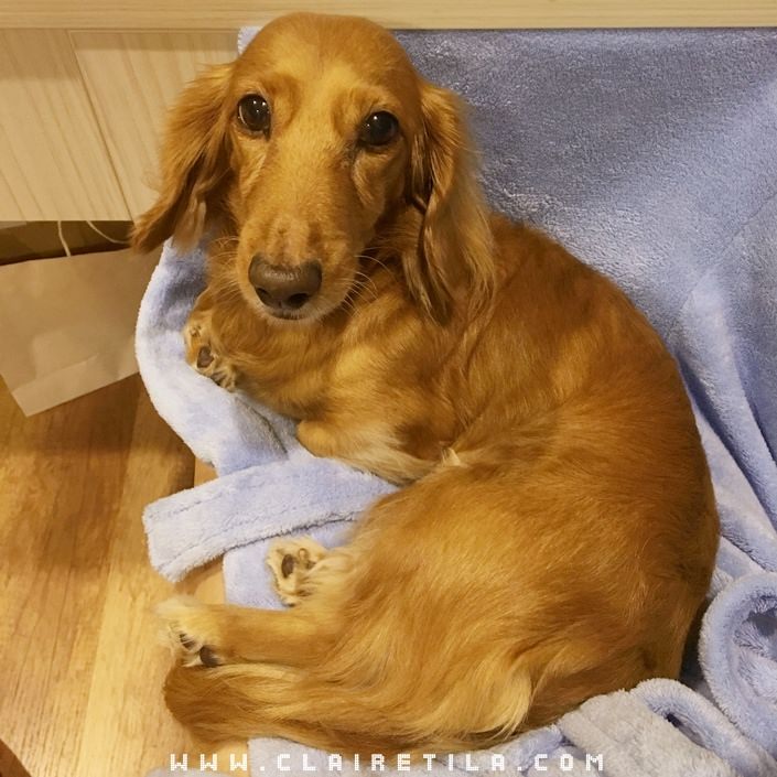 20251024-tlc1i 20251024-tlc1i