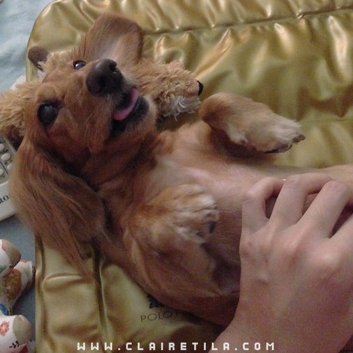 20251024-ubn1x 20251024-ubn1x