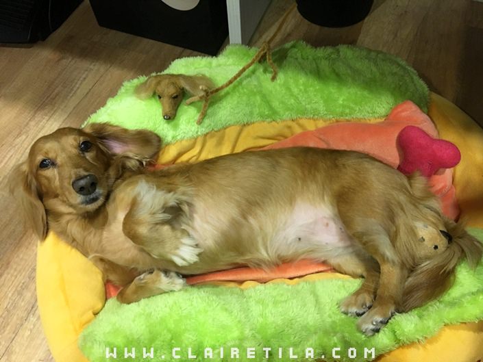 20251024-uwwrq 20251024-uwwrq