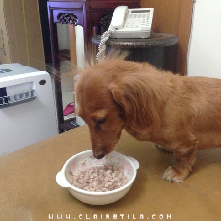 20251024-vqy6d 20251024-vqy6d