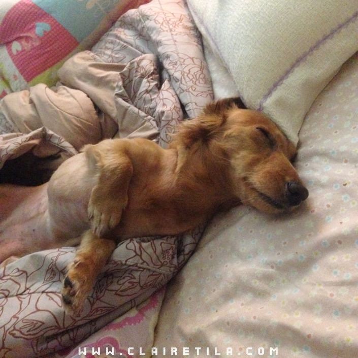 20251024-wjeb4 20251024-wjeb4