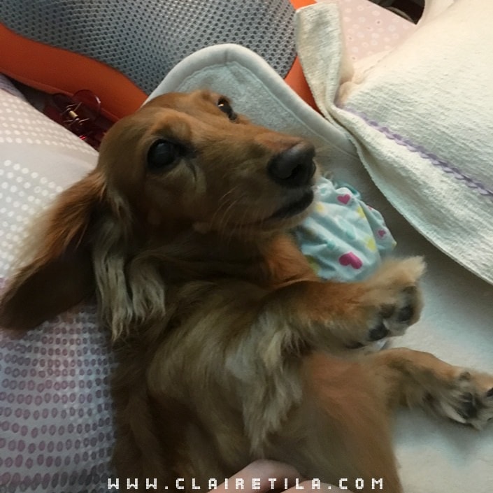 20251024-wkh18 20251024-wkh18