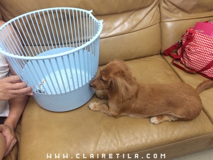 20251024-xdg2i 20251024-xdg2i