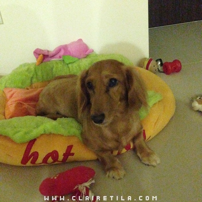 20251024-y4mq8 20251024-y4mq8