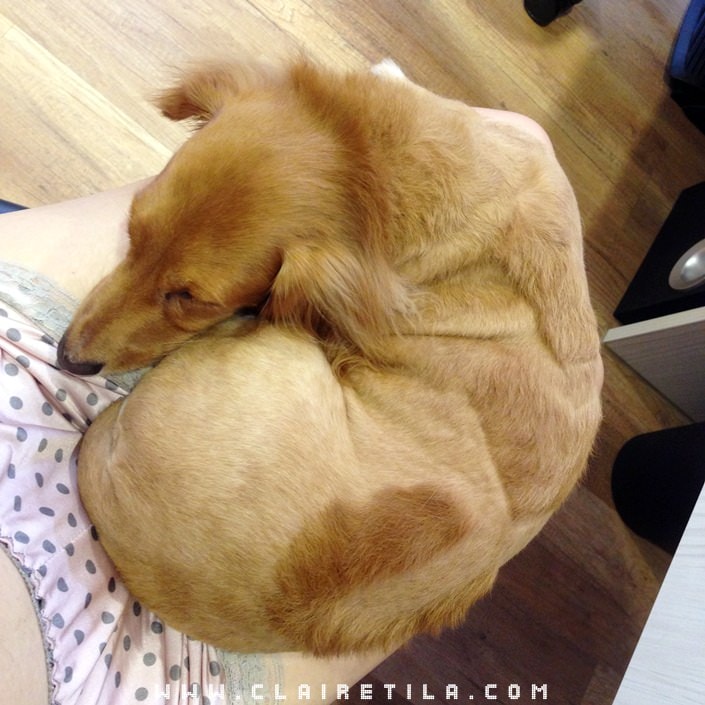 20251024-y8fcd 20251024-y8fcd