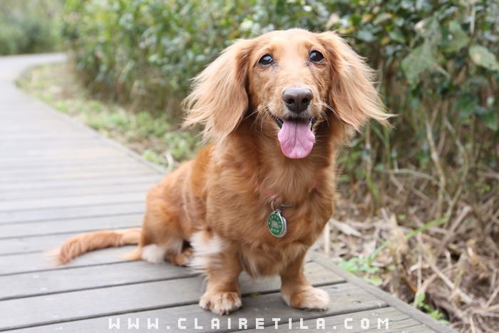 20251024-yoly3 20251024-yoly3