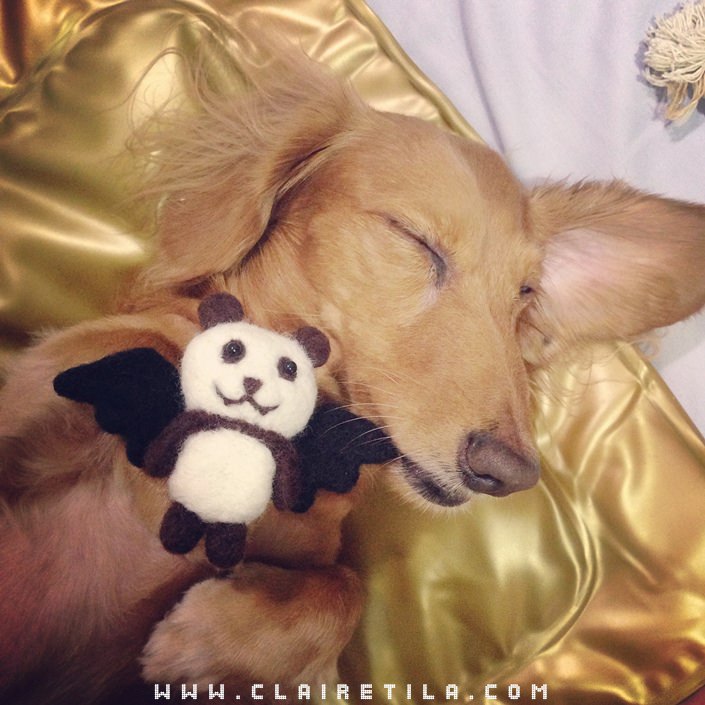 20251024-zikc8 20251024-zikc8