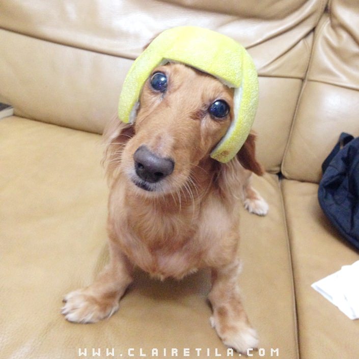 20251024-zimmr 20251024-zimmr