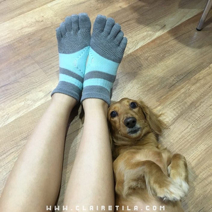 20251024-zjidl 20251024-zjidl