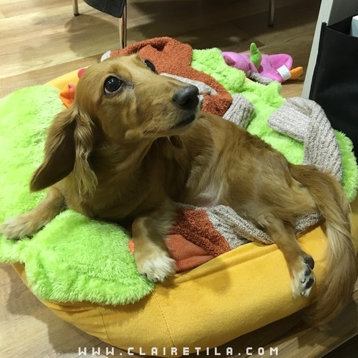 20251024-zl0yl 20251024-zl0yl