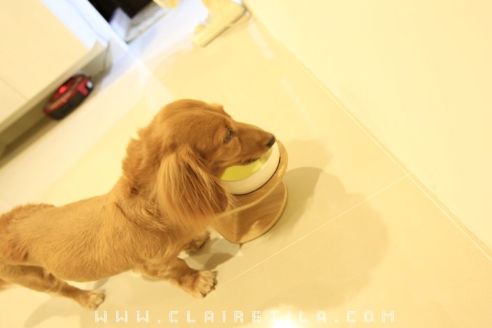 20251024-0tlno 20251024-0tlno