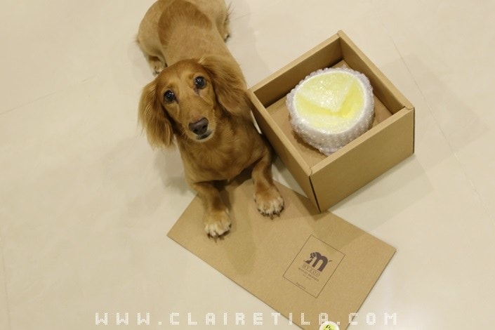 20251024-1hpx1 20251024-1hpx1