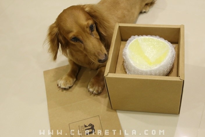 20251024-1v2uw 20251024-1v2uw