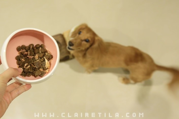 20251024-22i3s 20251024-22i3s