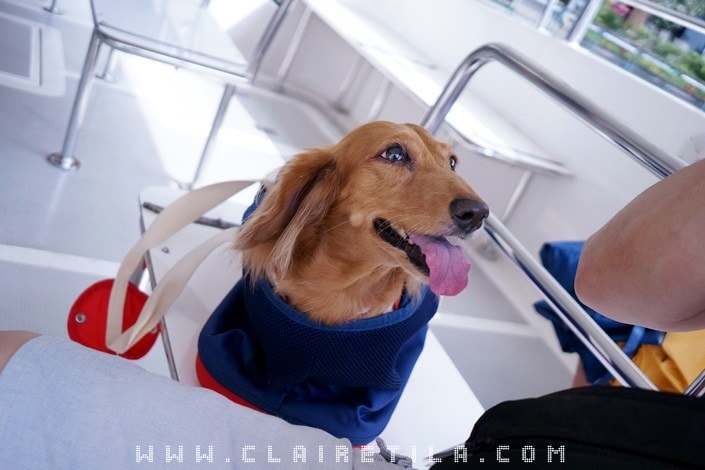 20251024-49jfe 20251024-49jfe