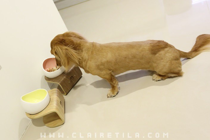 20251024-4jcfw 20251024-4jcfw