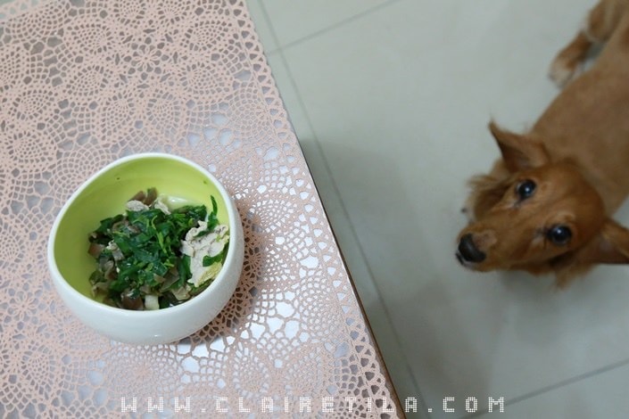 20251024-7453y 20251024-7453y