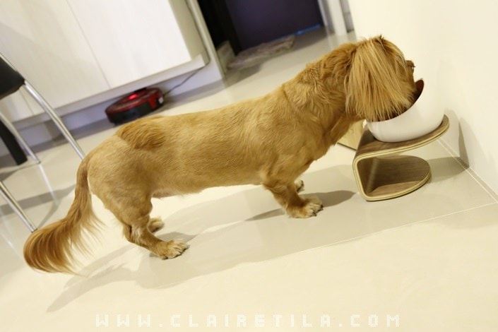 20251024-a0eod 20251024-a0eod