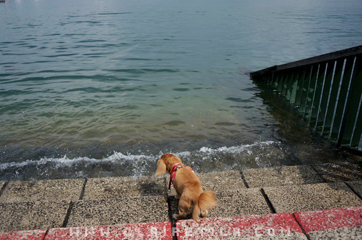 20251024-ctawt 20251024-ctawt