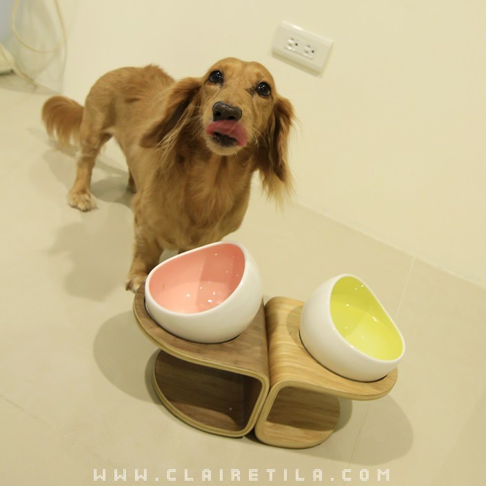 20251024-e8yov 20251024-e8yov