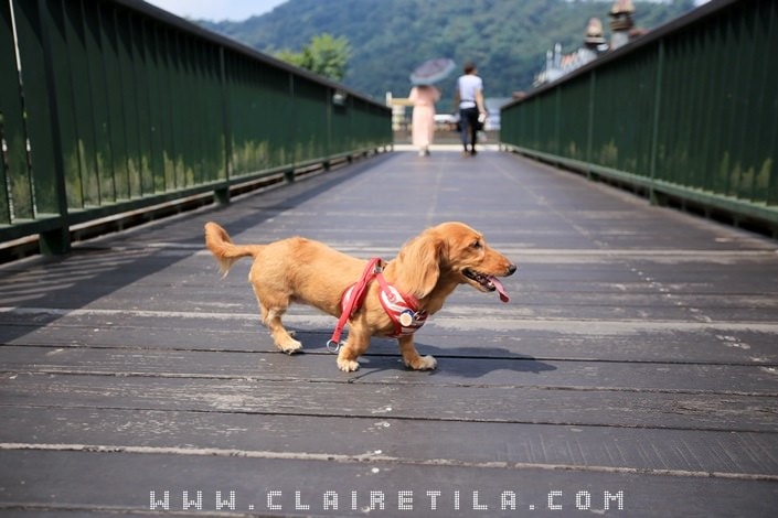 20251024-lav72 20251024-lav72