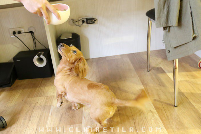 20251024-lw7fs 20251024-lw7fs