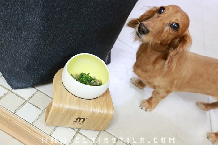 20251024-ooja7 20251024-ooja7