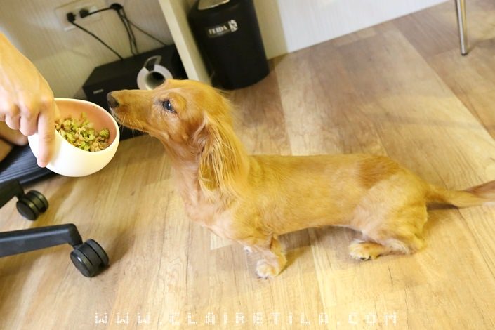 20251024-sm51d 20251024-sm51d