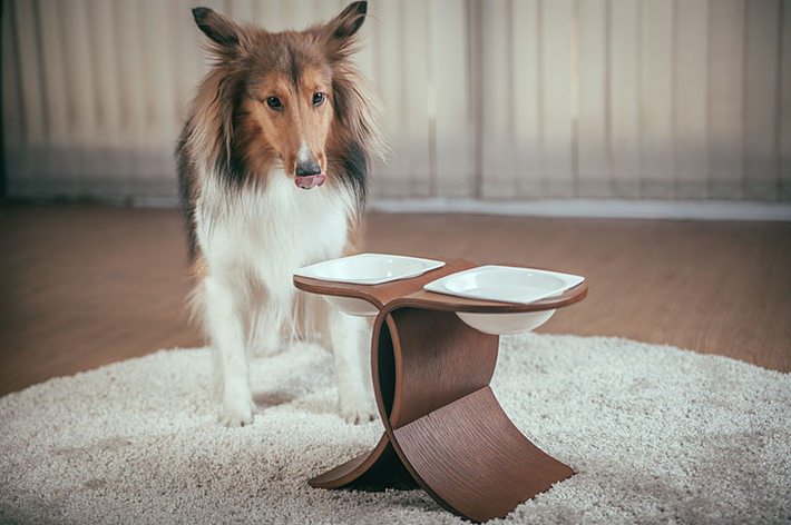 20251024-tndyx 20251024-tndyx