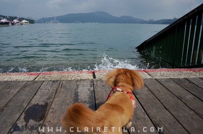 20251024-tnow2 20251024-tnow2