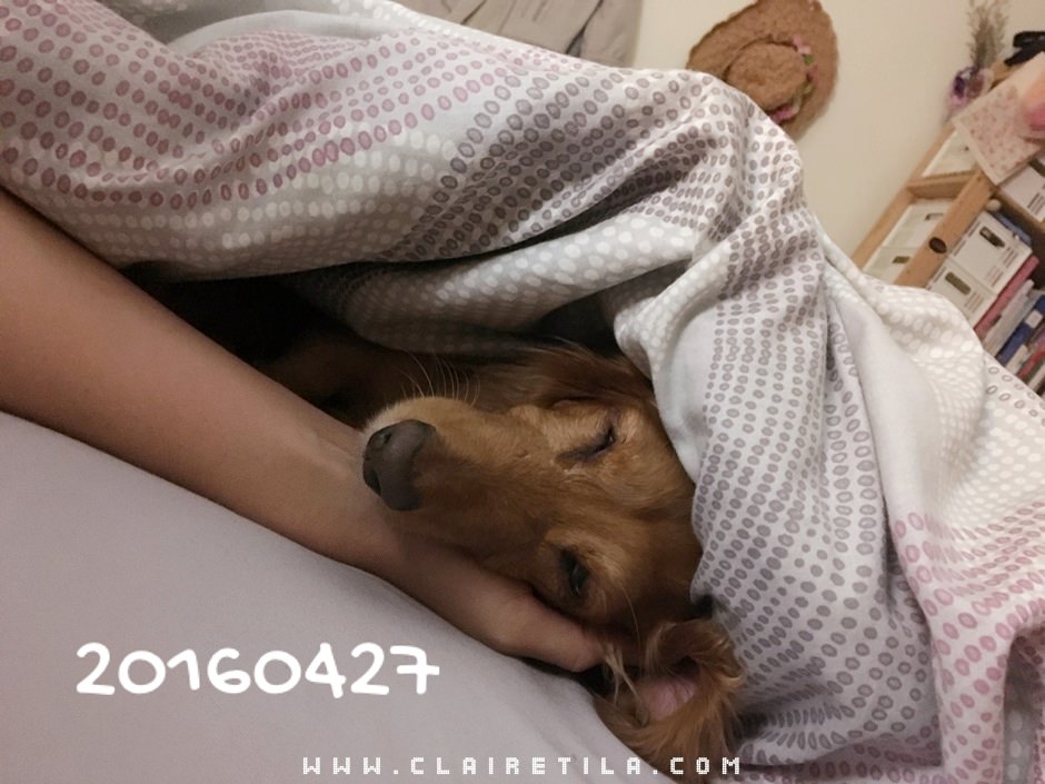 20251024-070b0 20251024-070b0