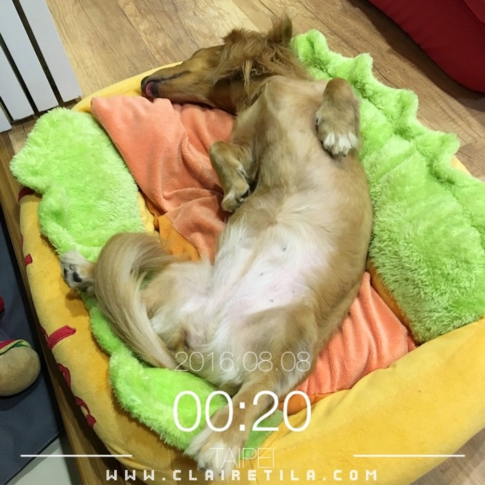 20251024-0i1cc 20251024-0i1cc