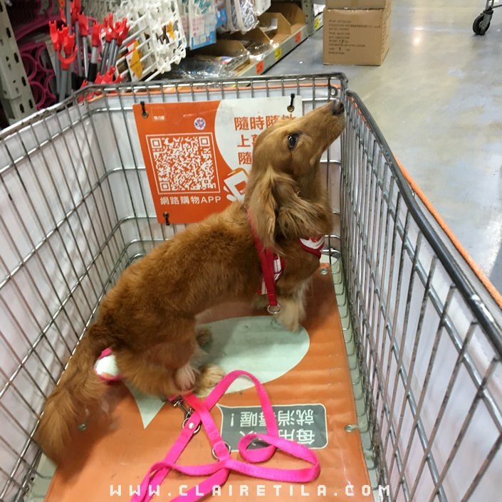 20251024-0xdtz 20251024-0xdtz