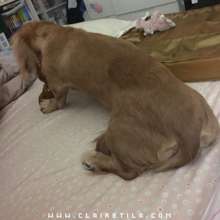 20251024-0zfub 20251024-0zfub