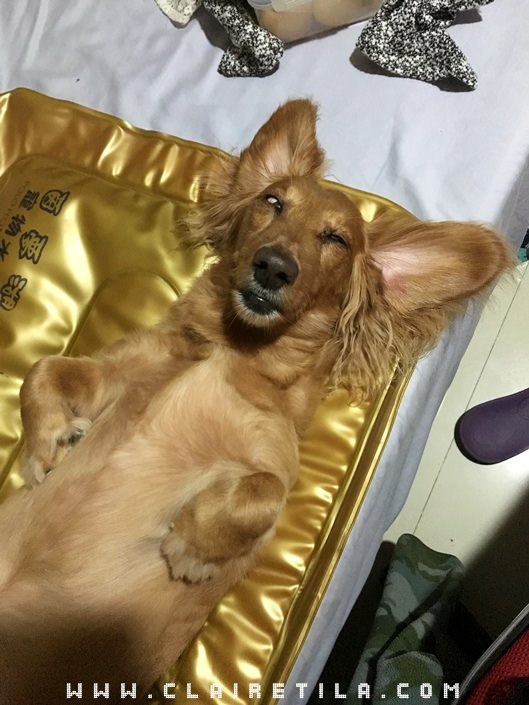 20251024-14kg1 20251024-14kg1