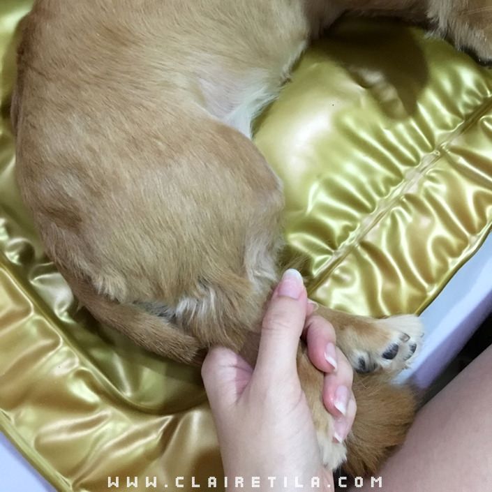 20251024-16jax 20251024-16jax